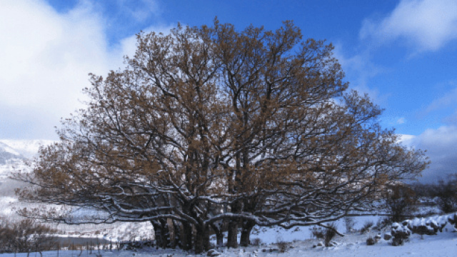 Ruta 5: La Parada del Rey por Monte Aguirre y La Raya