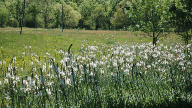 Route 6: From Soto del Real to Miraflores de la Sierra via the chapel of San Blas