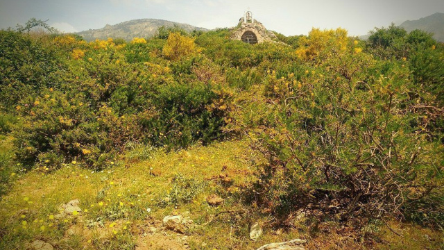 Route 18: Enjoying the dehesa of Los Molinos