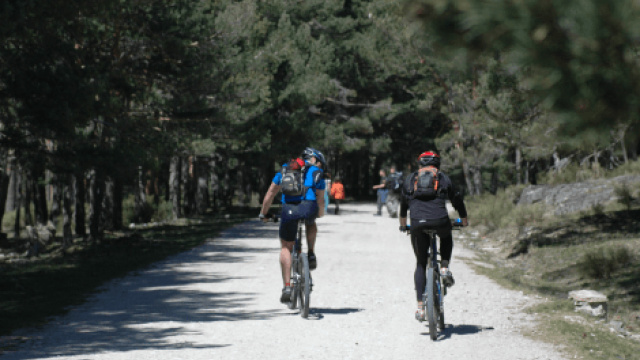 Ruta 20: Del Puerto de Navacerrada a Cercedilla por el Caminos Shcmid y la Fuenfría