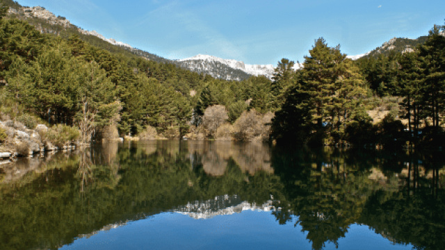 Route 21: Excursion through the pine forests and gayubares of the Barranca Valley