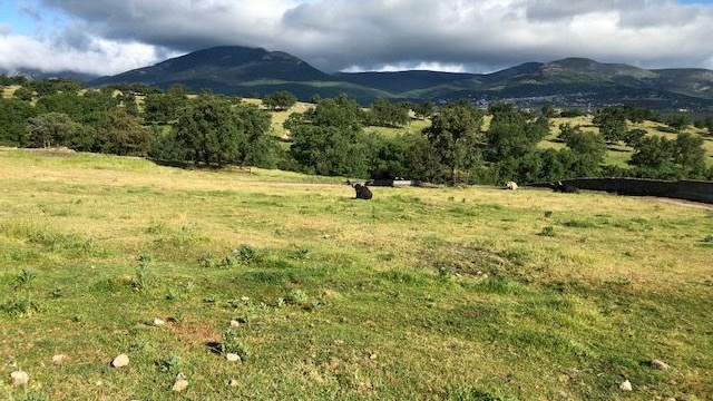 Route 26: From Guadalix de la Sierra to Soto del Real on the Camino Mendocino to Santiago