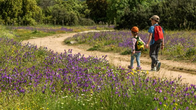 Red de Caminos de la Sierra de Guadarrama