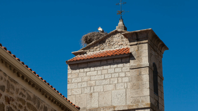 Becerril de la Sierra. Green ring.