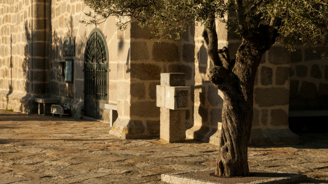 Cerceda to Moralzarzal.