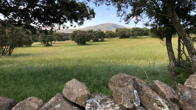 Soto del Real to Manzanares el Real along the Camino de Mendocino.