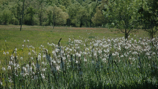 Route 6A. Miraflores de la Sierra to Soto del Real.
